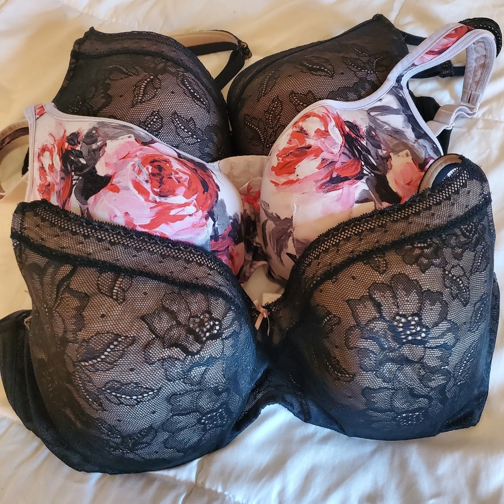 Lane Bryant Cacique bras